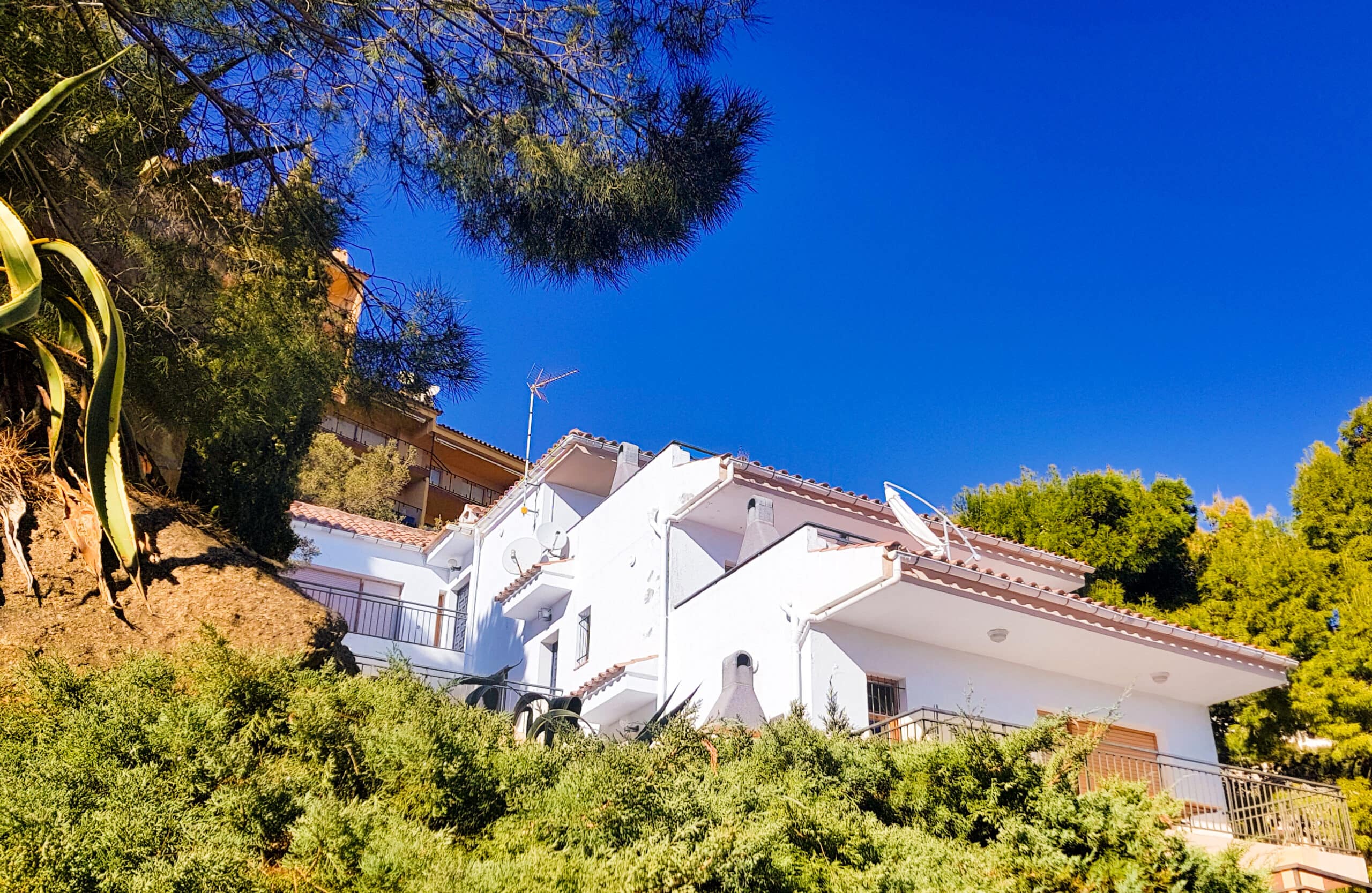 Casdanna Roses Apartments