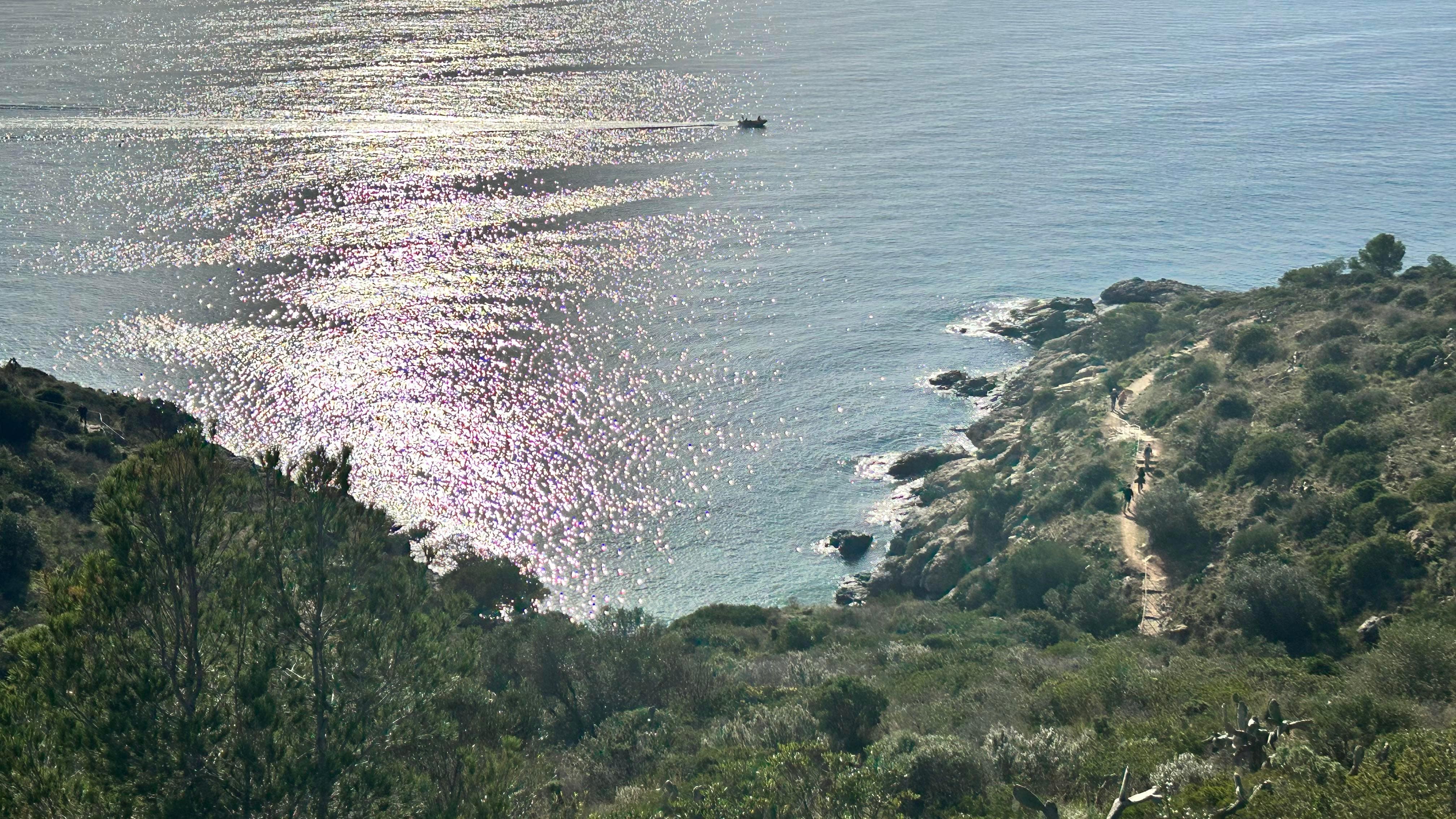 Vista de Punta Falconera