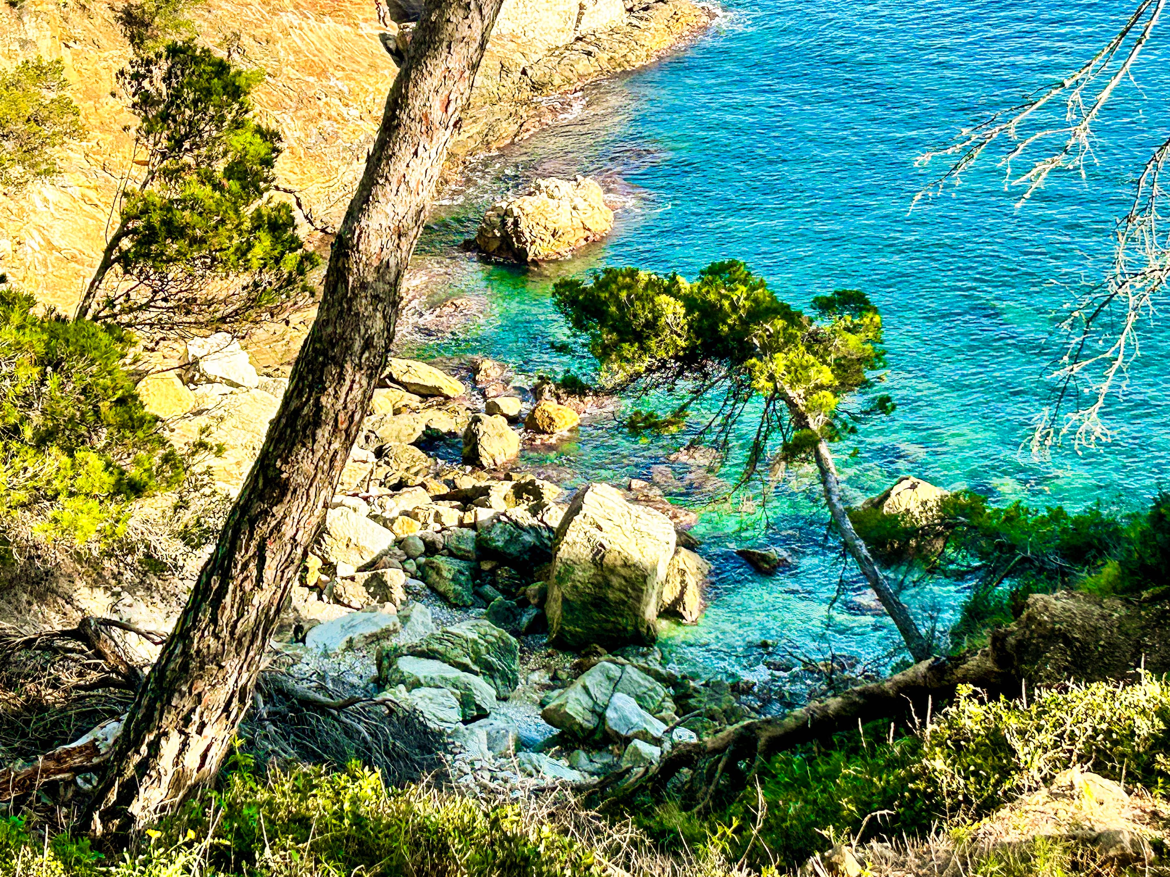Vista de Cala de Lledó
