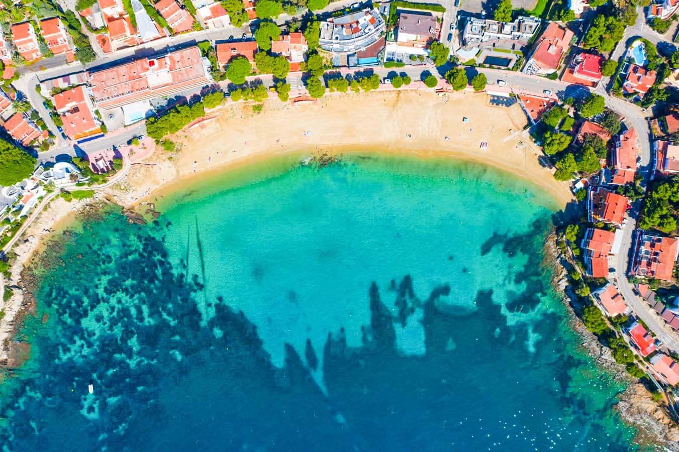 Canyelles Petites Beach Roses