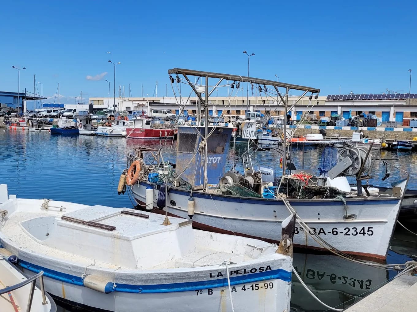 Puerto de Roses - Pescaderías