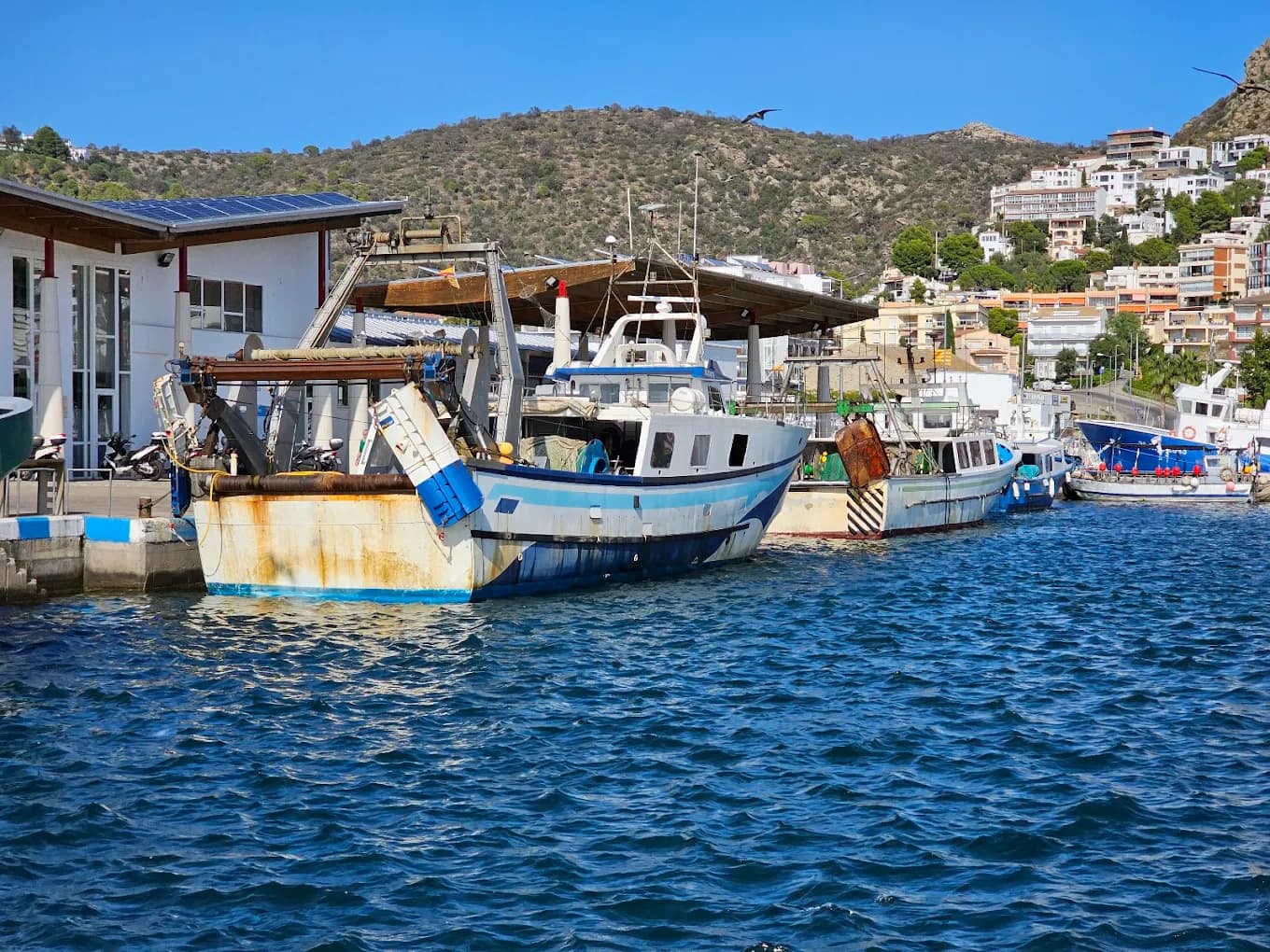 Puerto de Roses - Pescaderías