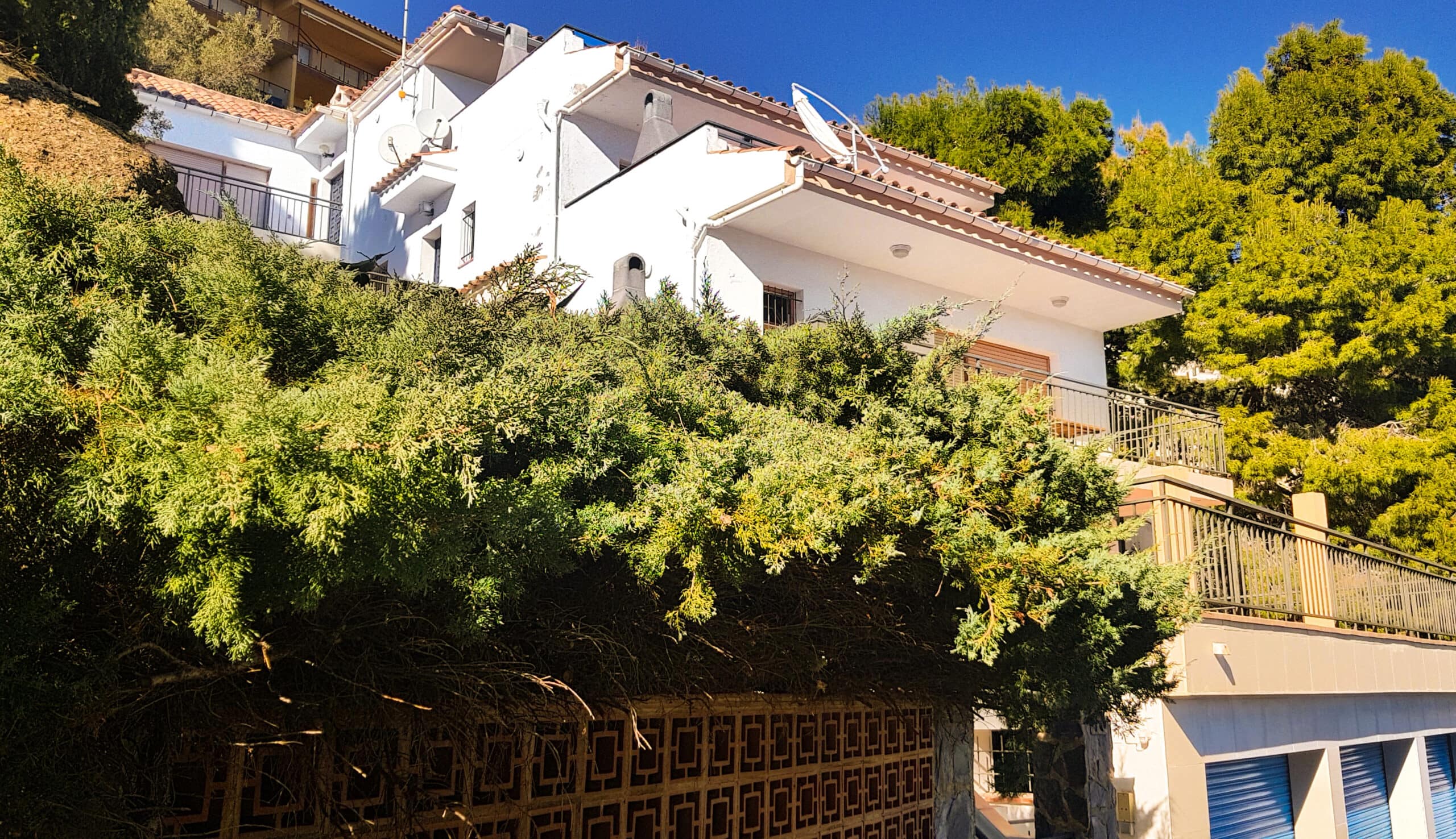 Casdanna Roses Apartments