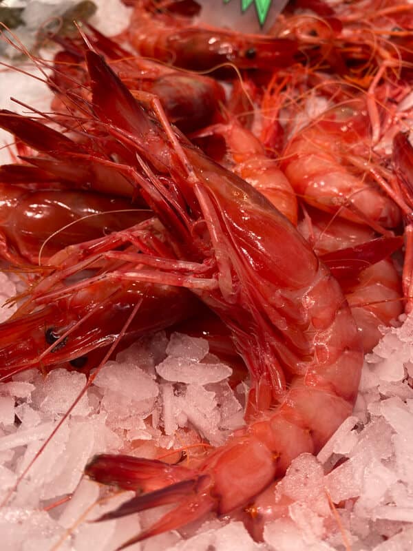 Puerto de Roses - Pescaderías