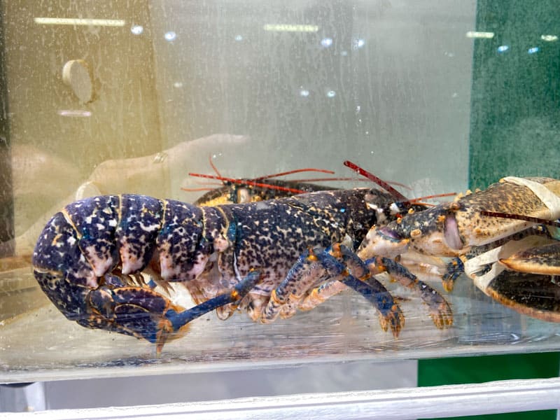 Puerto de Roses - Pescaderías