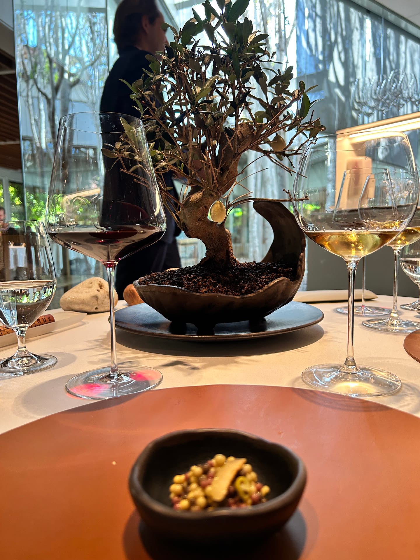 Bonsái de olivera con olivas heladas